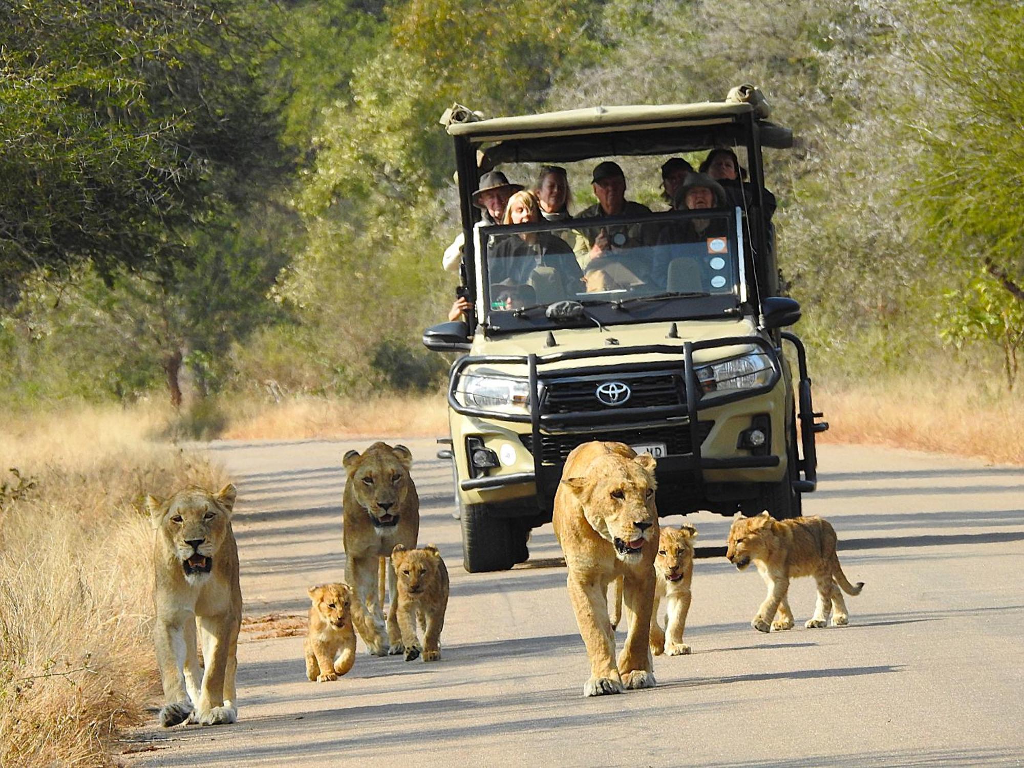 Ubuntu Bed And Breakfast Marloth Park Exterior photo